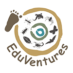 EduVentures Logo